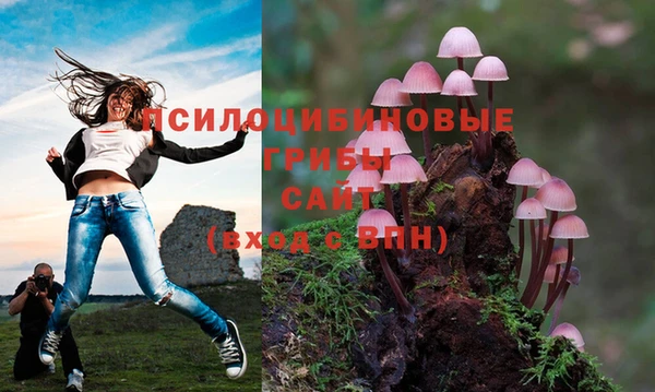 ГАЛЛЮЦИНОГЕННЫЕ ГРИБЫ Кукмор