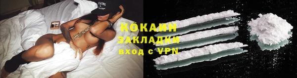 прущие грибы Костерёво