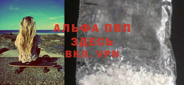 прущие грибы Костерёво