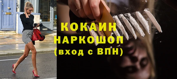 прущие грибы Костерёво