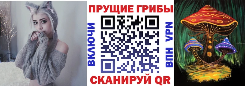 площадка как зайти  Кумертау  Галлюциногенные грибы мухоморы 
